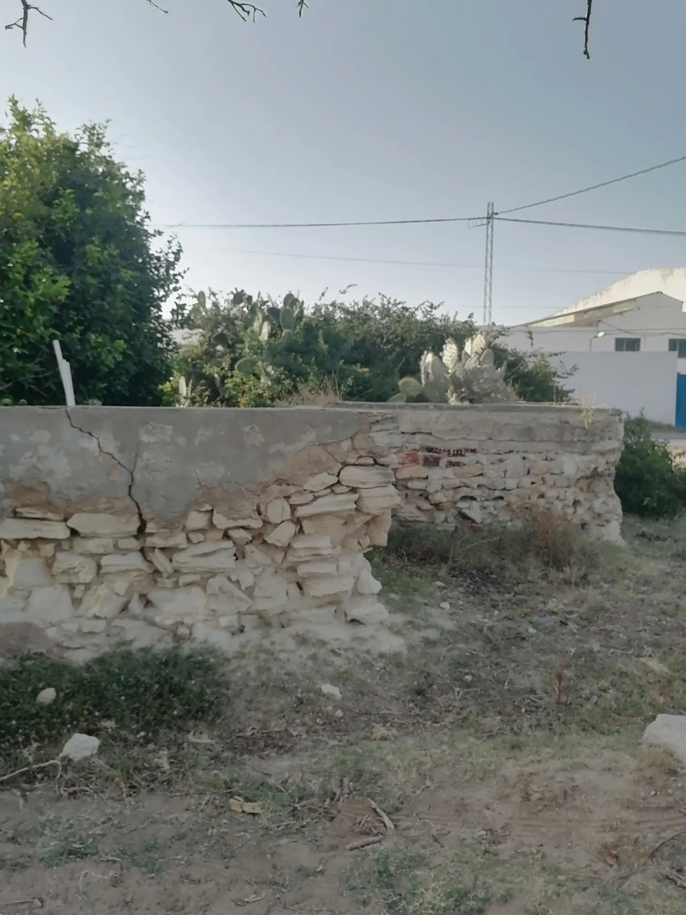 TERRAIN HABITATION