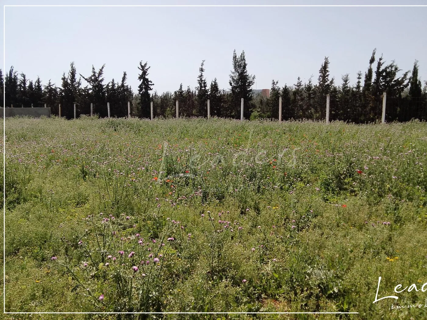 À VENDRE| Terrain à Hammamet Sud 27246305