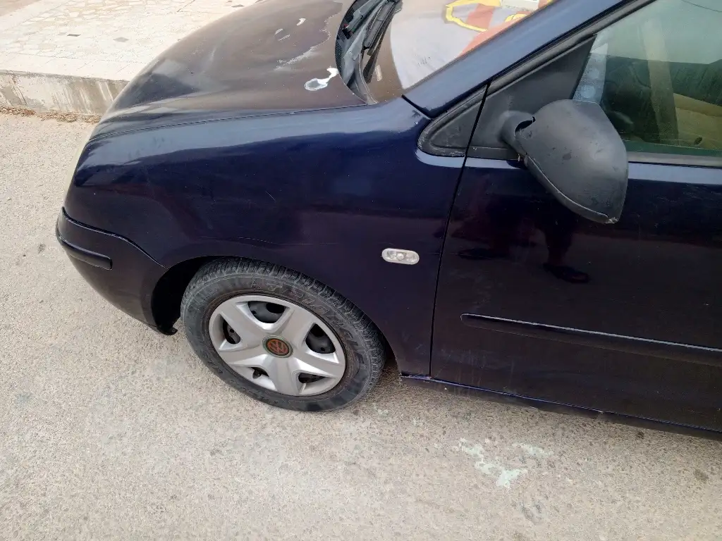 Polo 5