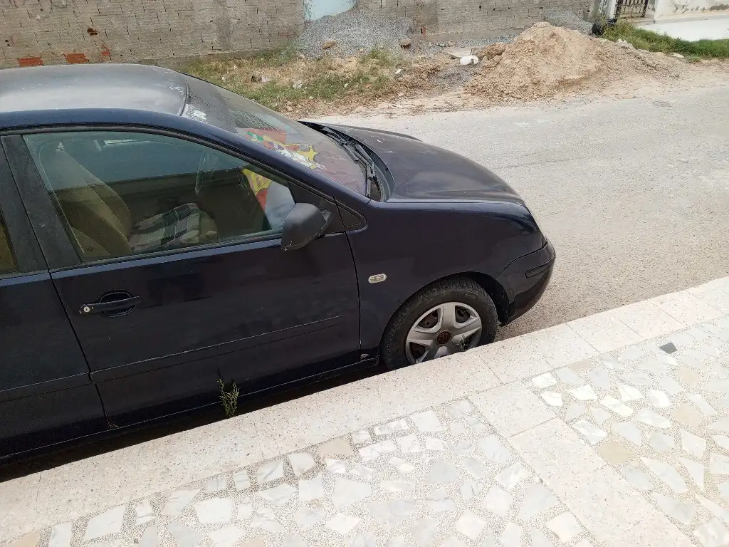 Polo 5