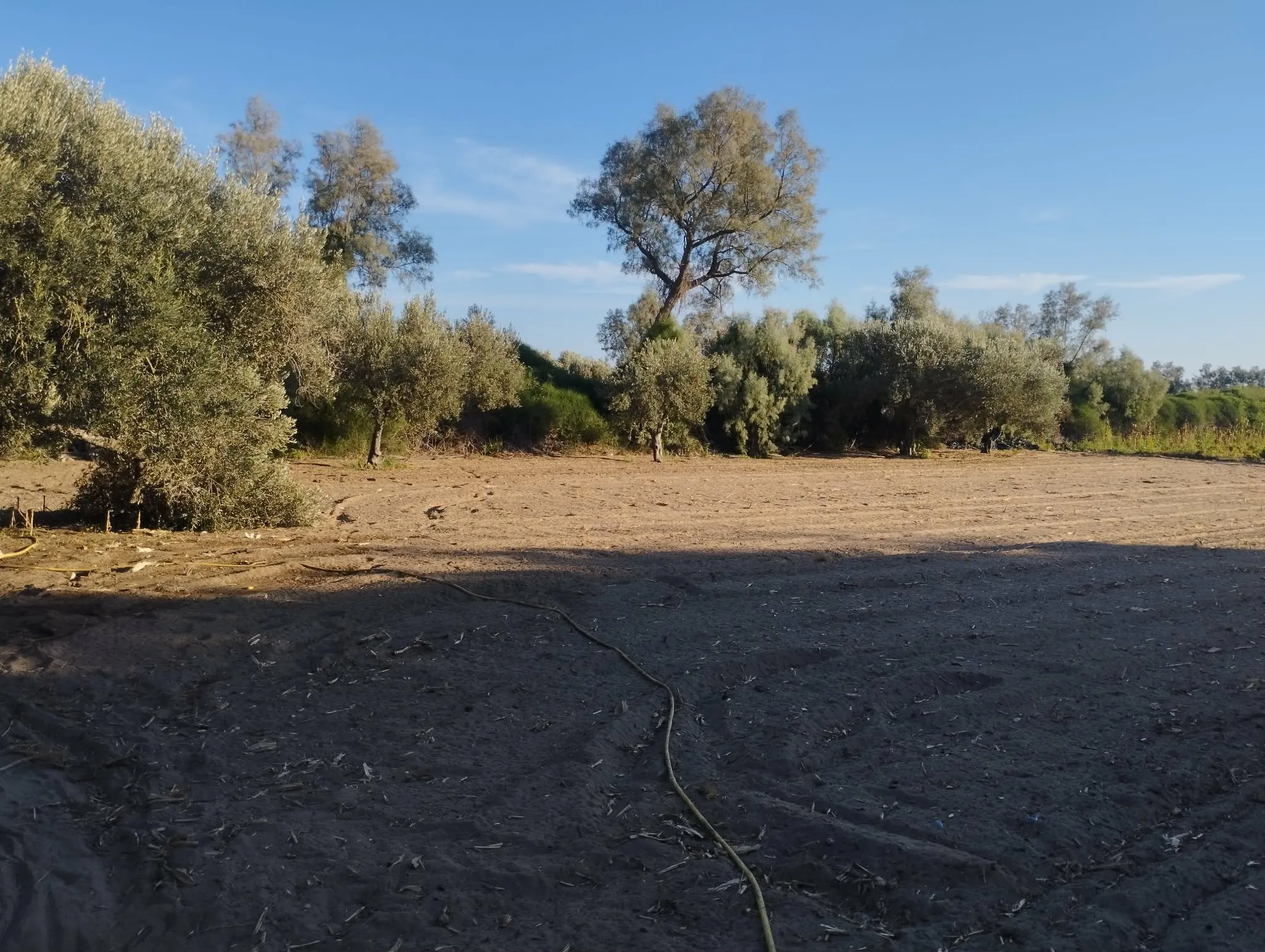 Terrain à Vendre -Plage Tazarka-