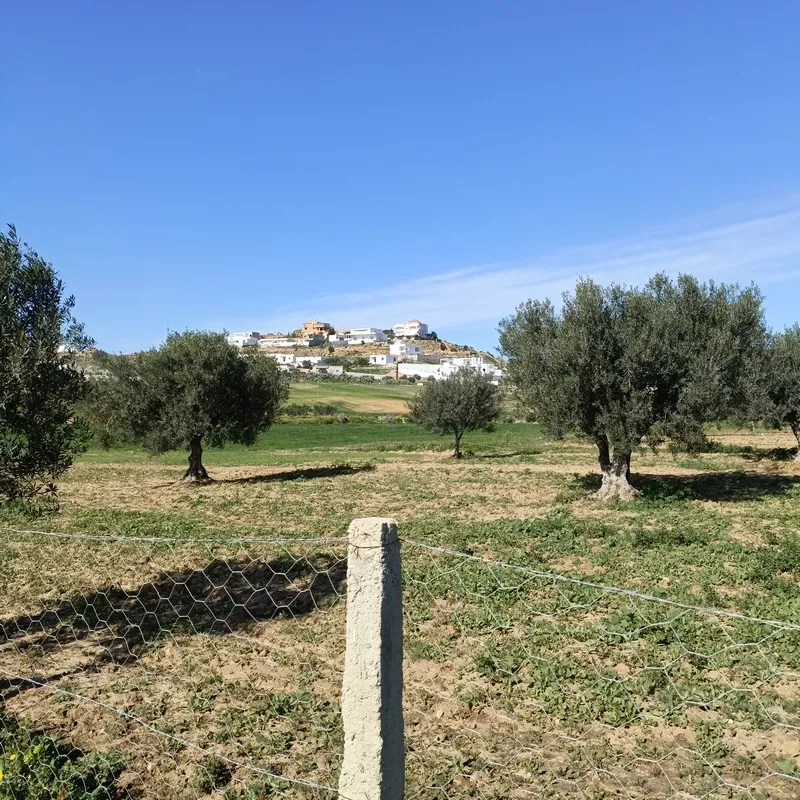 AV terrain 1680m à monchar hammamet sud 
