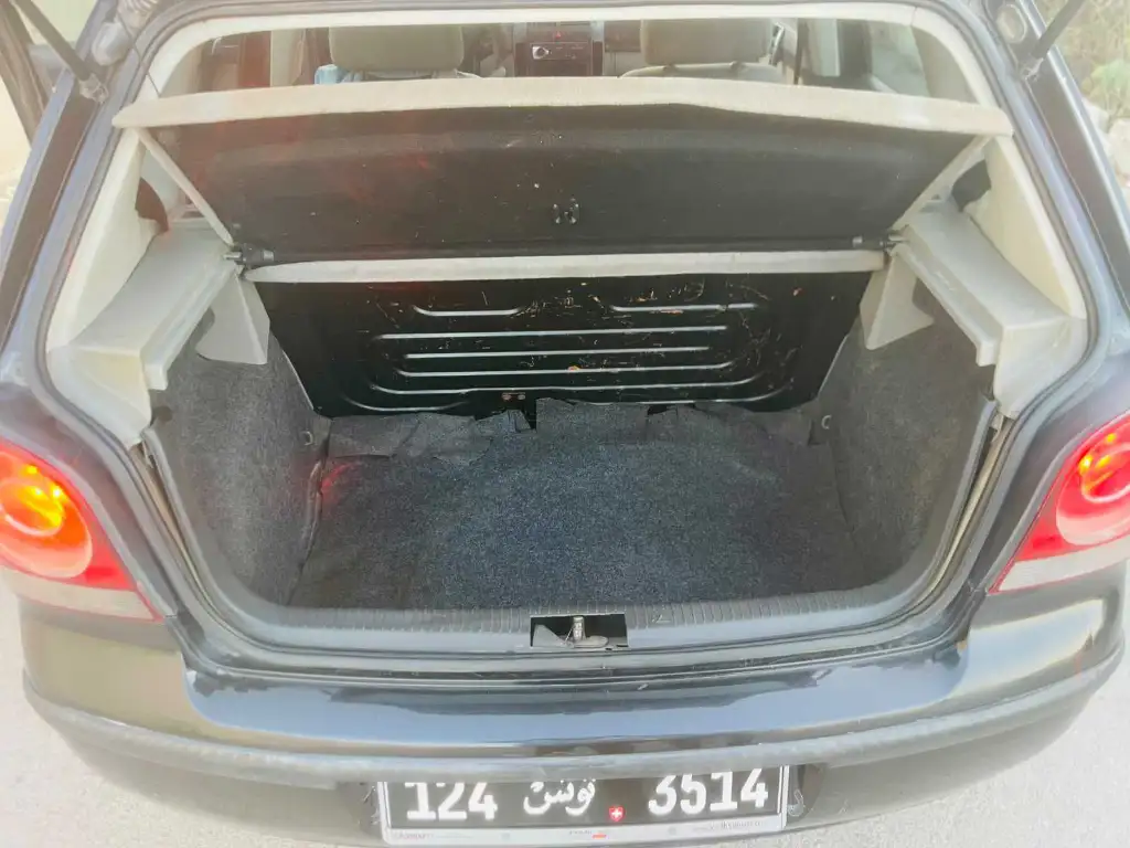 Polo 6