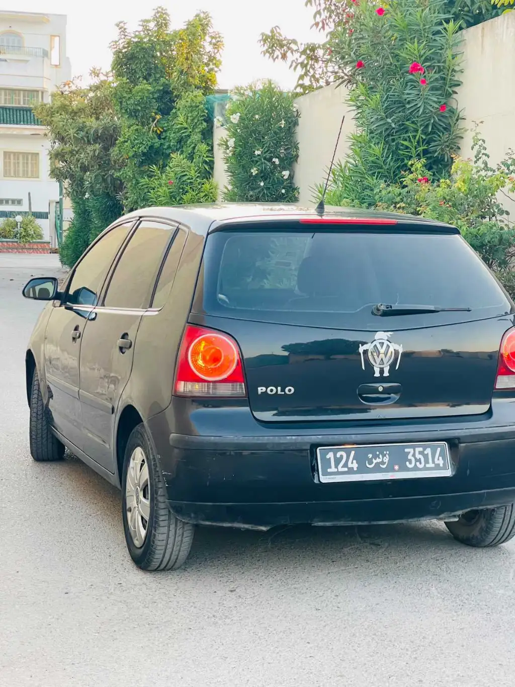 Polo 6