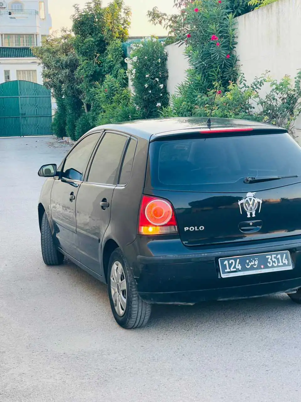Polo 6
