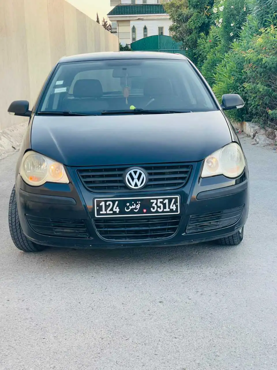 Polo 6