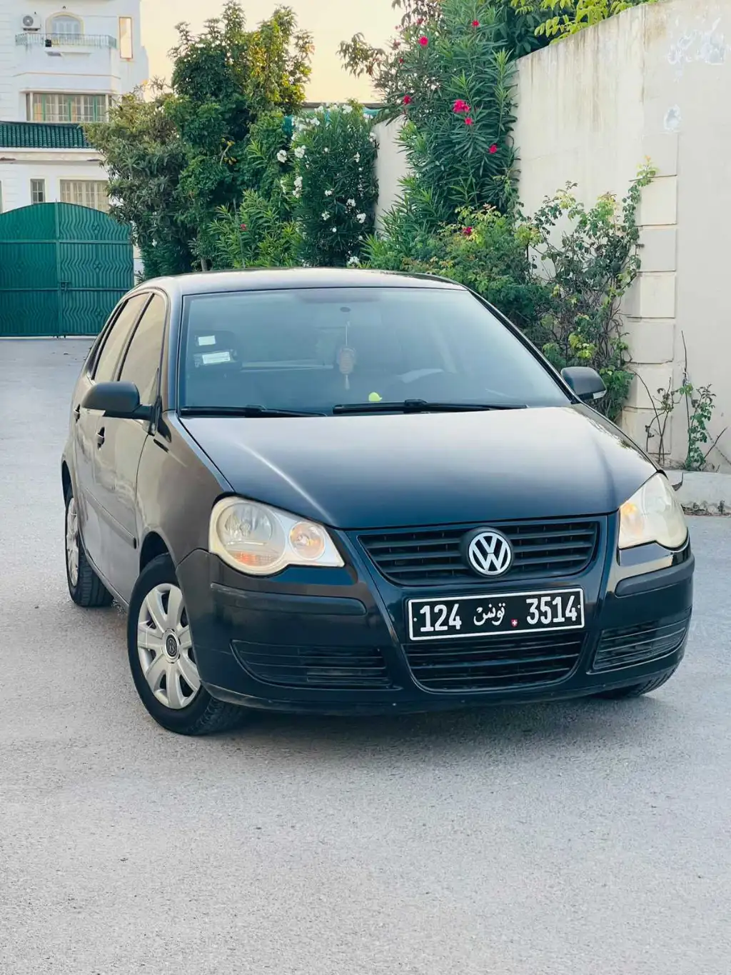 Polo 6