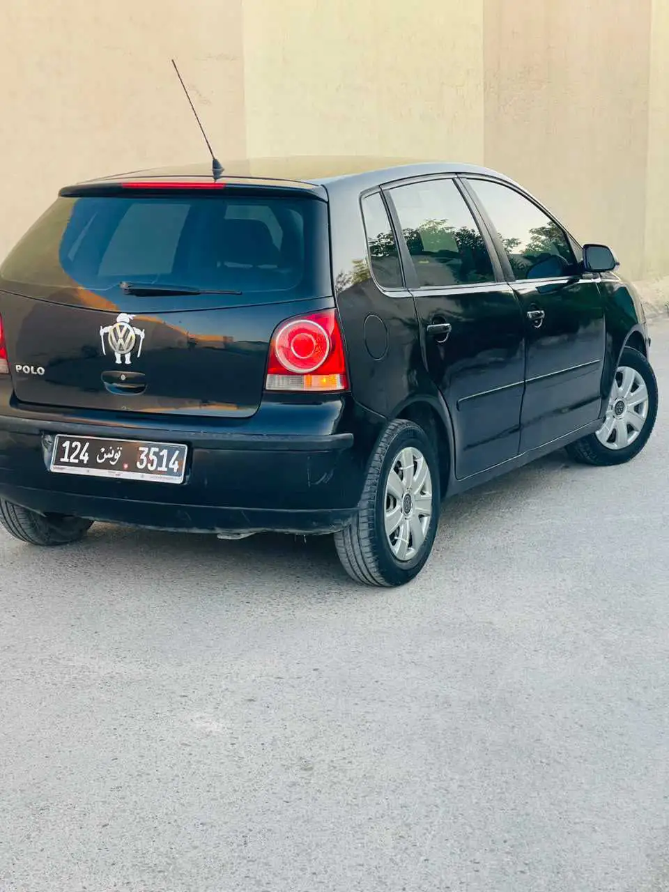 Polo 6
