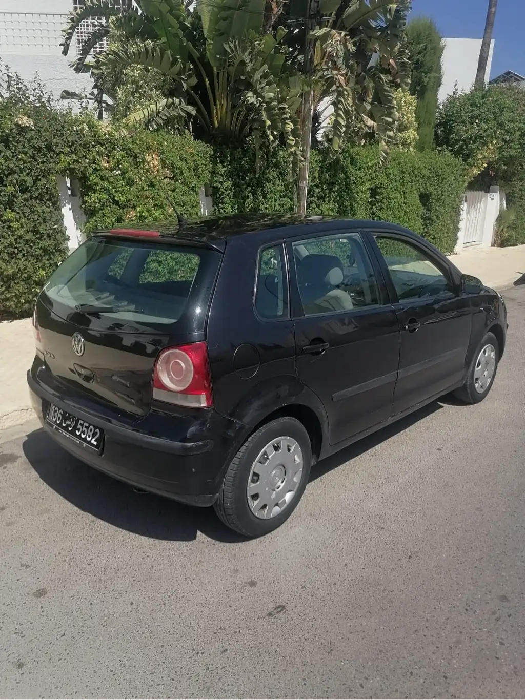 Polo6 1main