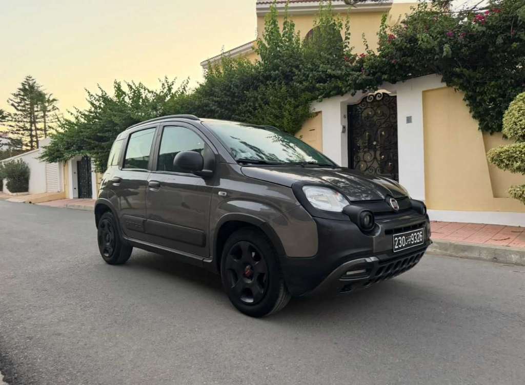 Fiat panda cross 4cy