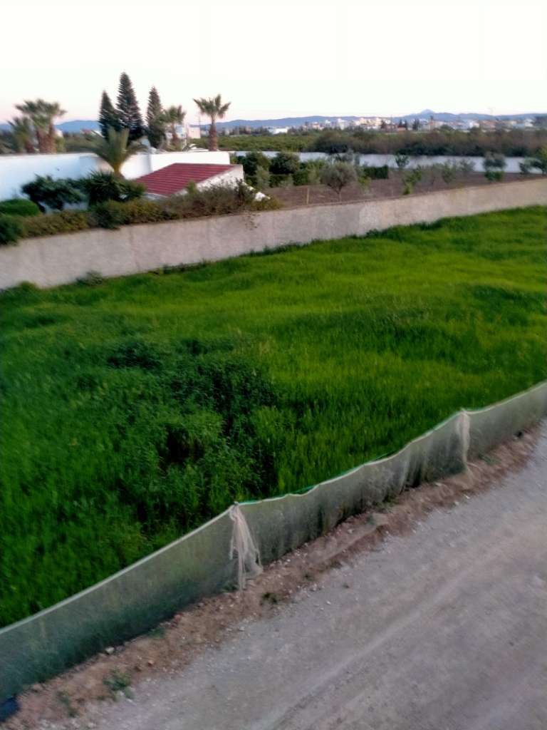 شالة  بومهل