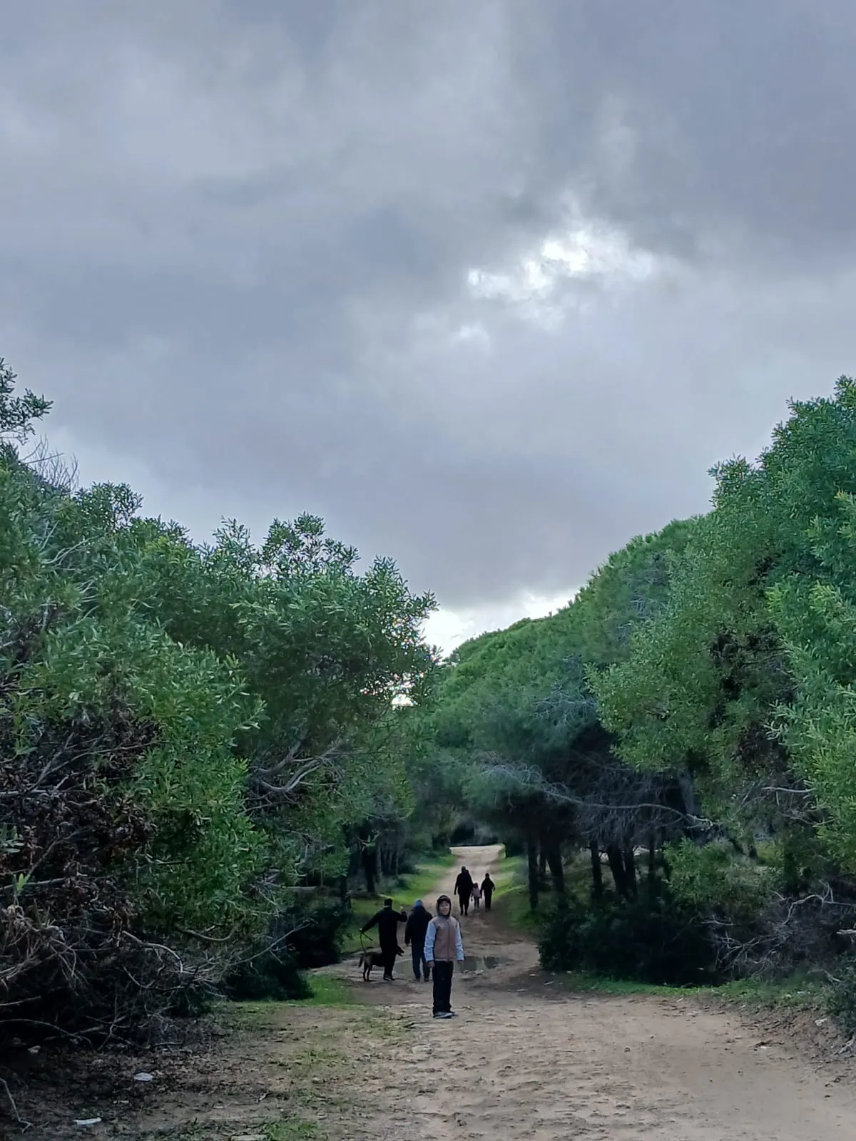 أرض 310م مع منزل60م يبتعد 700م على الطريق