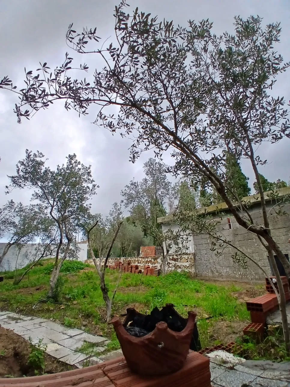 أرض 310م مع منزل60م يبتعد 700م على الطريق