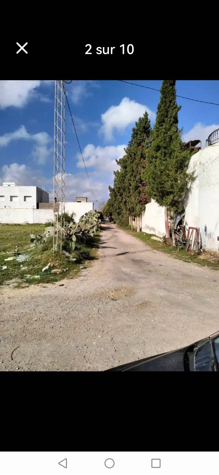 Terrain força