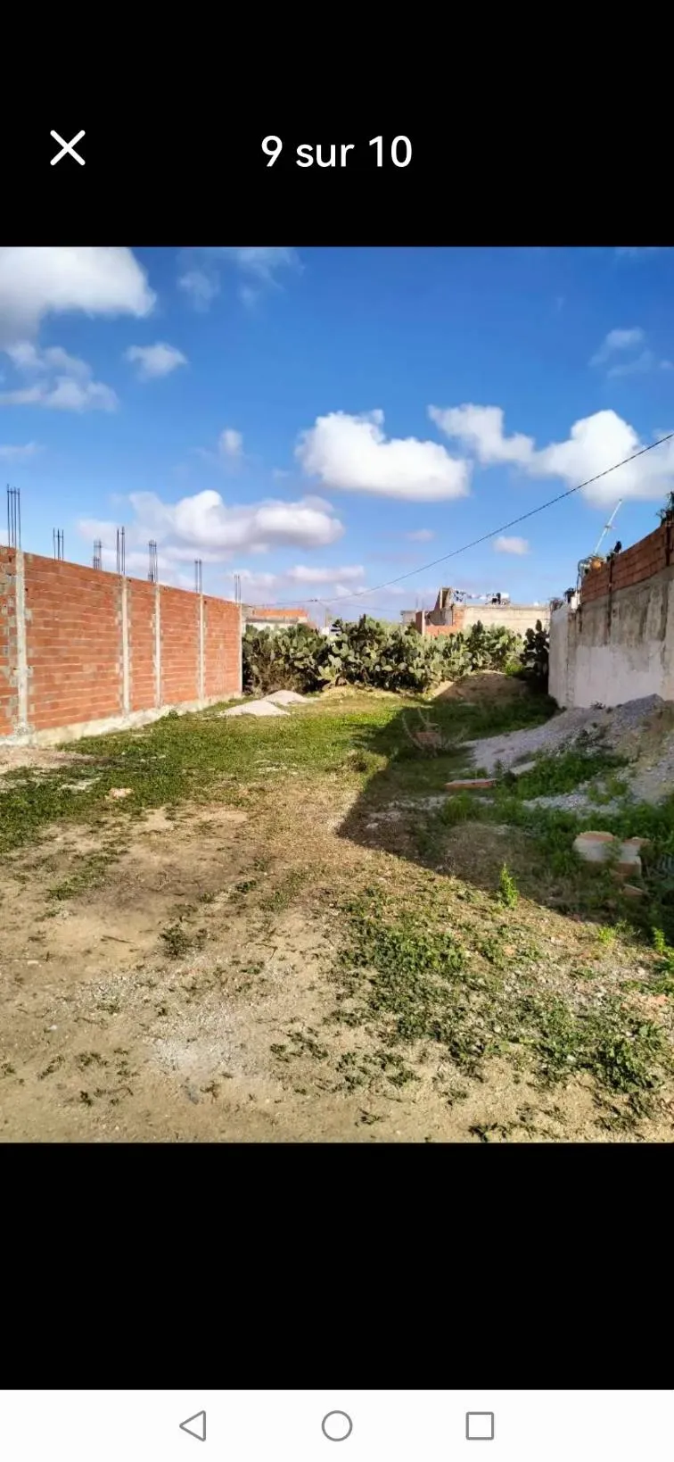 Terrain força