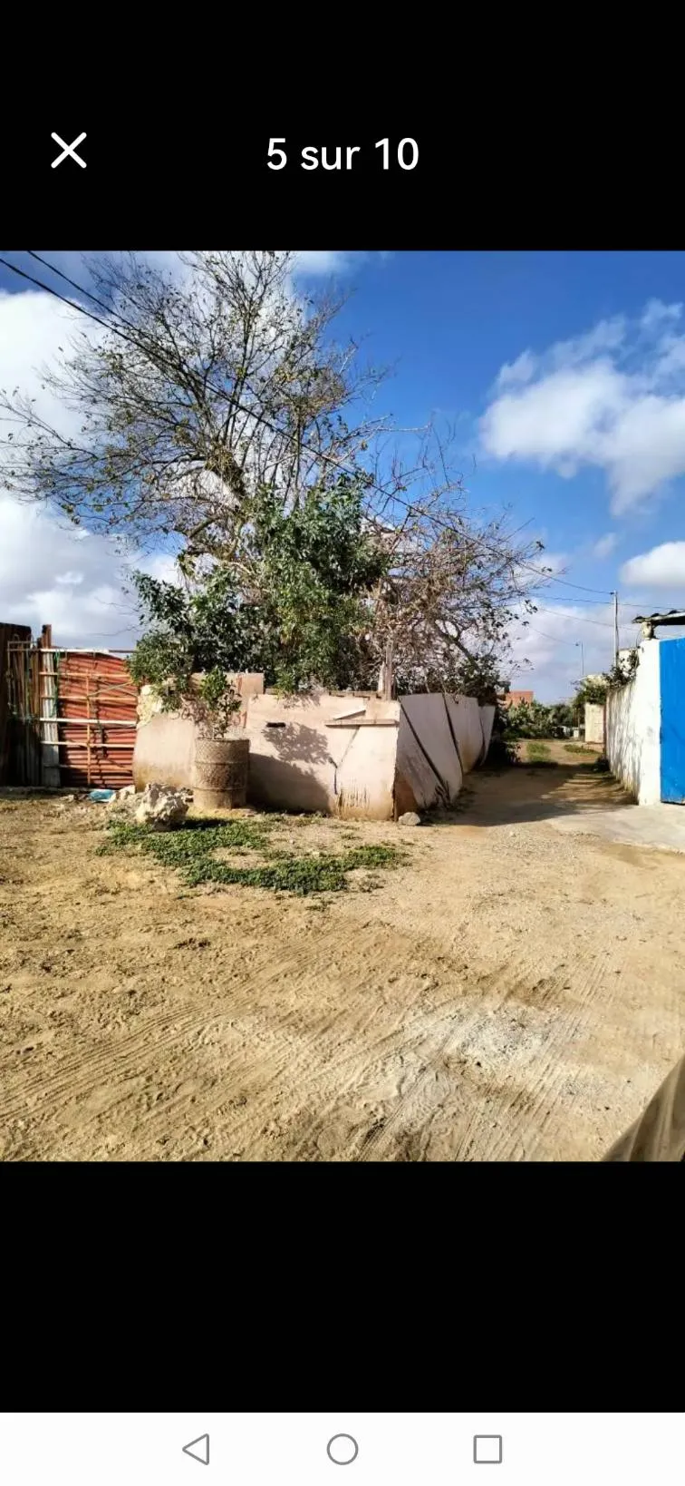Terrain força