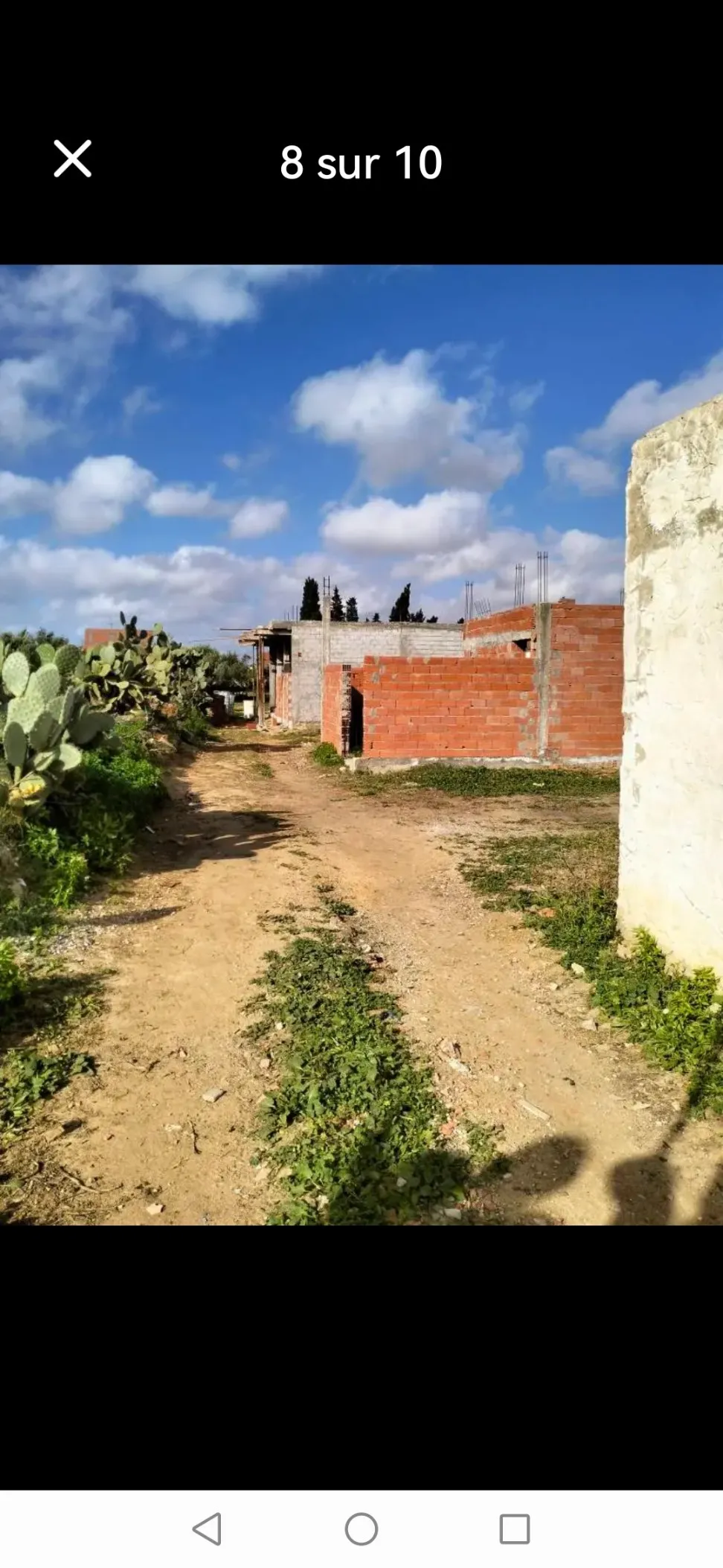 Terrain força