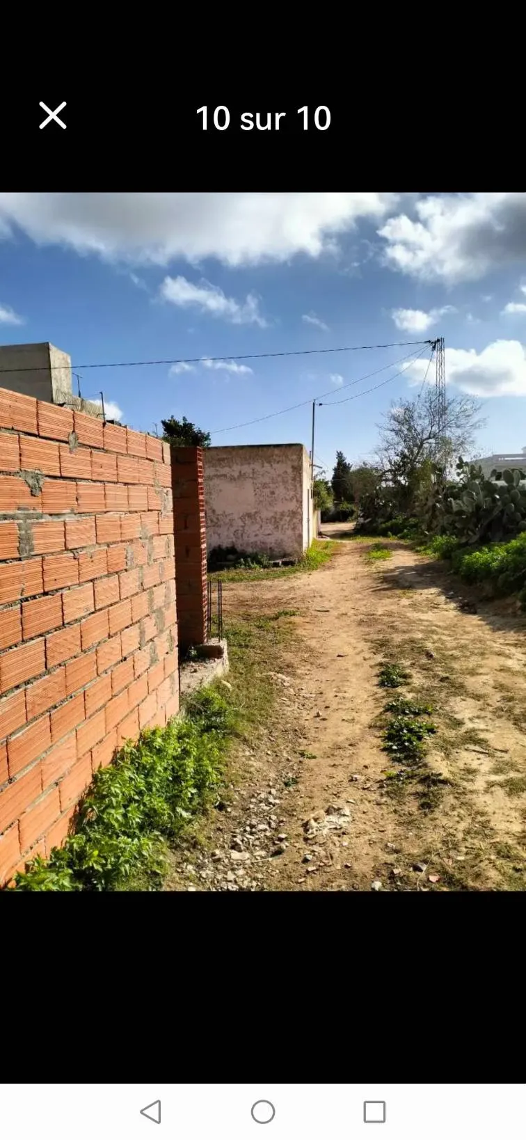 Terrain força