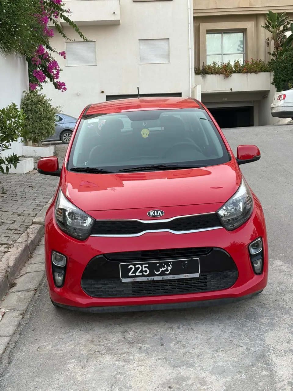 Kia Picanto populaire