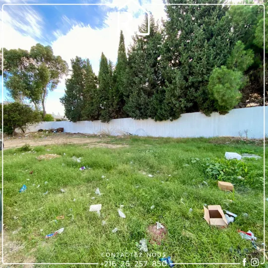 A vendre Terrain Commercial #Nabeul_Hammamet a 5min a la #plage sidi mahresi