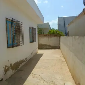 AV 2 studios titre bleu à hammamet sud 99202001
