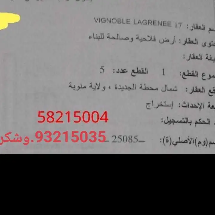 أرض للبيع 