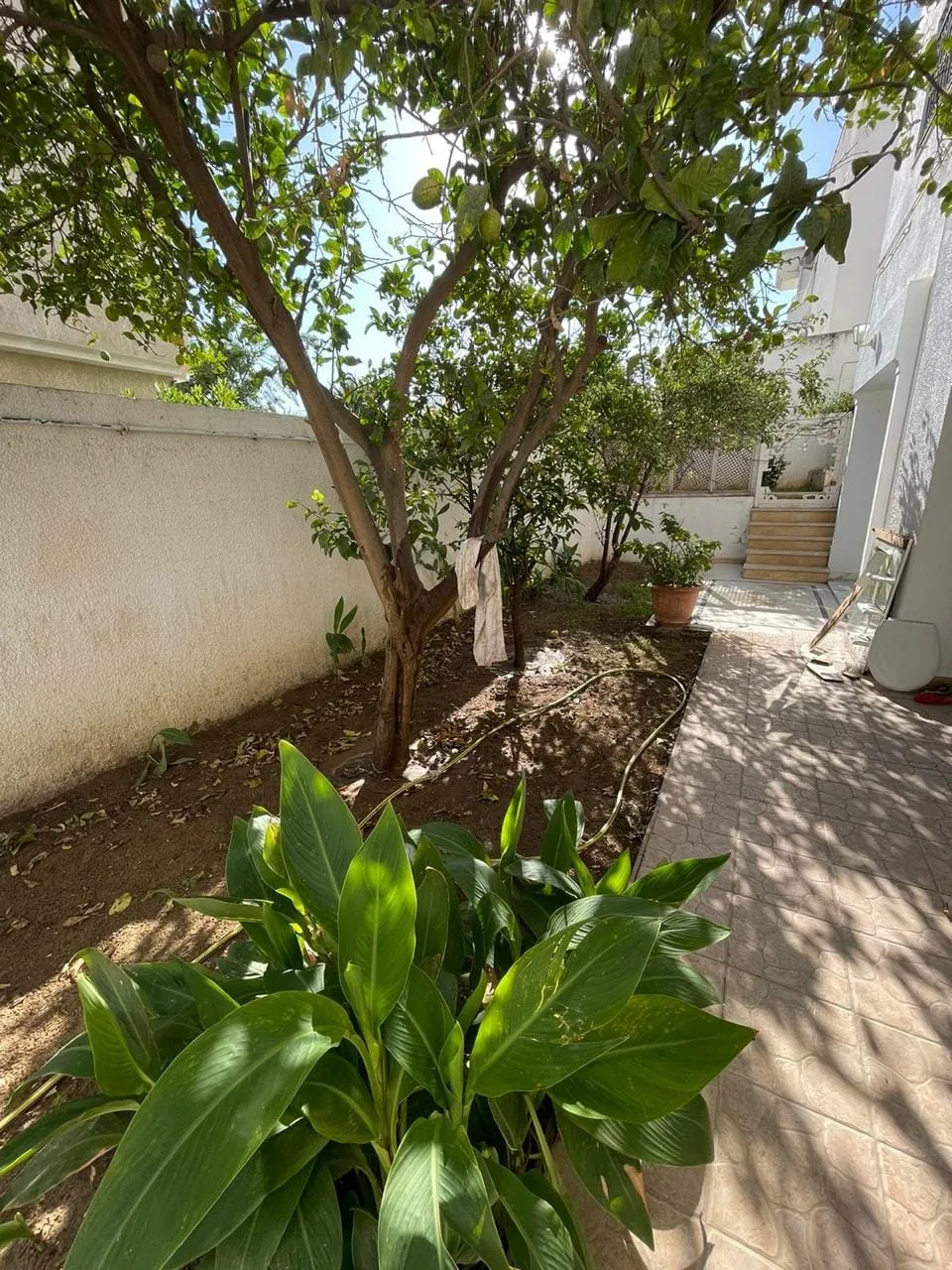 A louer Appartement S+3 à Jardin d'el Menzah 1
