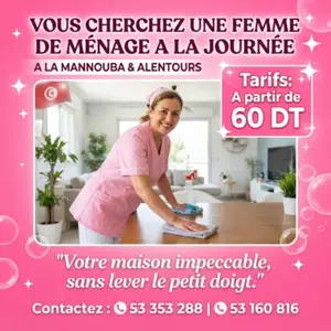 femme de menage par jour
