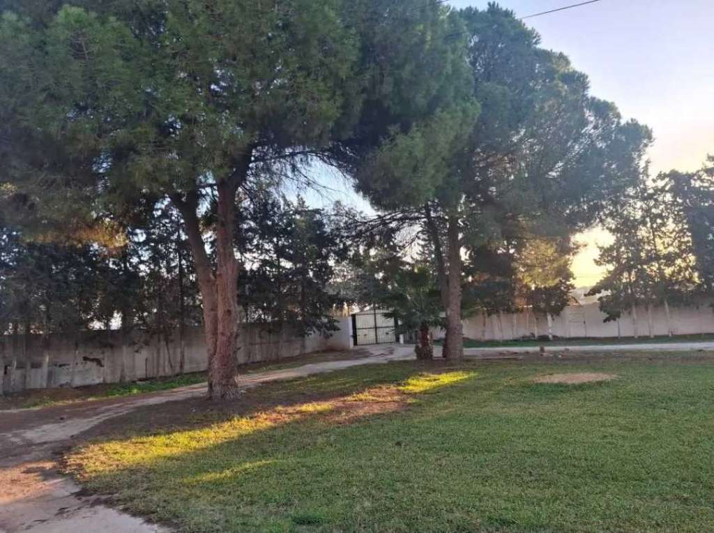 Location S4 vide à Chotrana 1