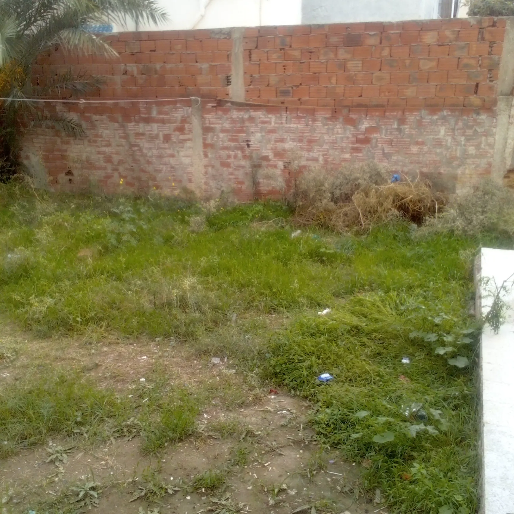 Un terrain à vendre à 103 000 Dt