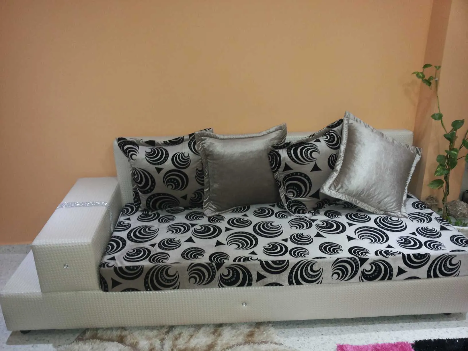 sallon 12 places ,des rideaux en tres bon etat et des elements 