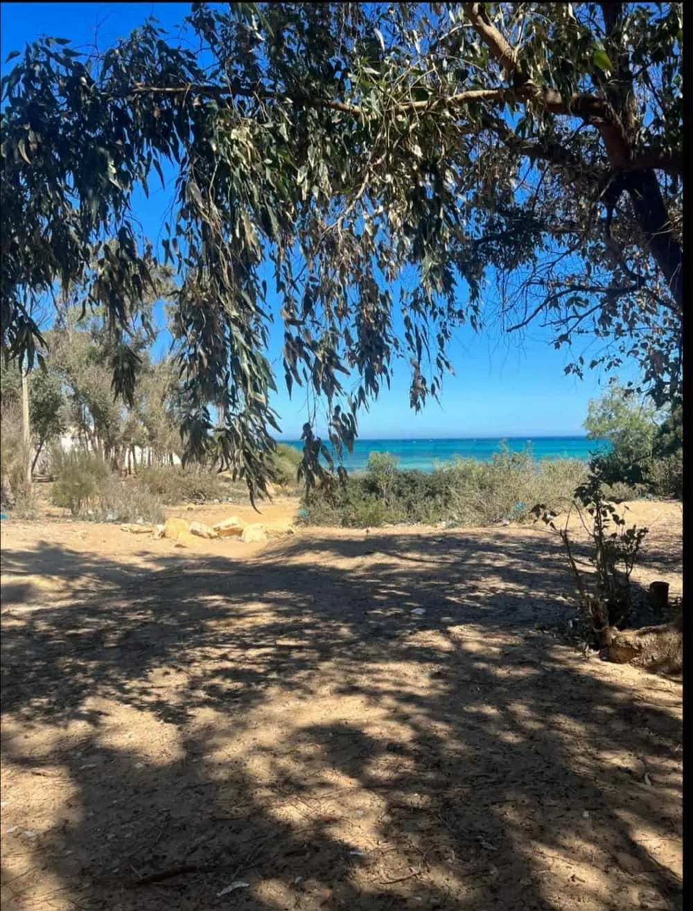 un terrain ezzahra kelibia