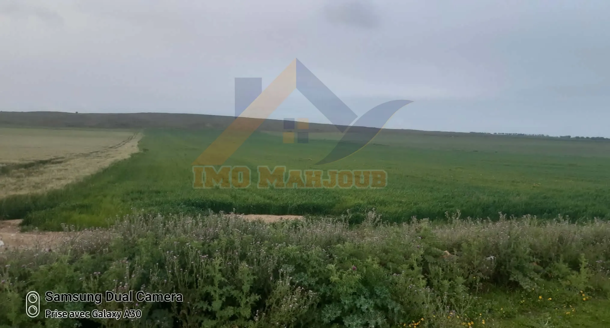 Terrain agricole titre foncier individuel