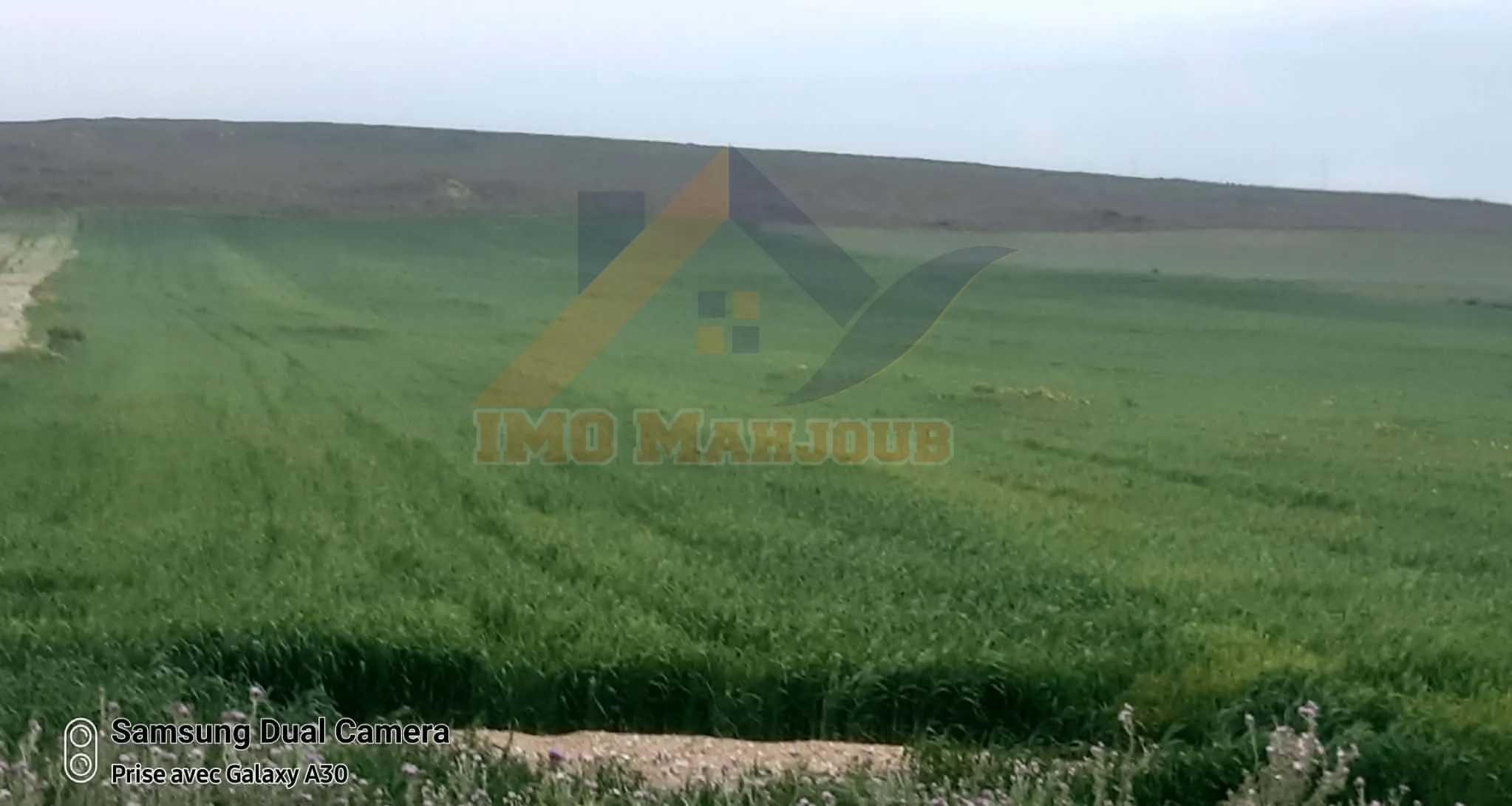 Terrain agricole titre foncier individuel