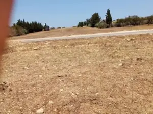عقار فلاحي للبيع