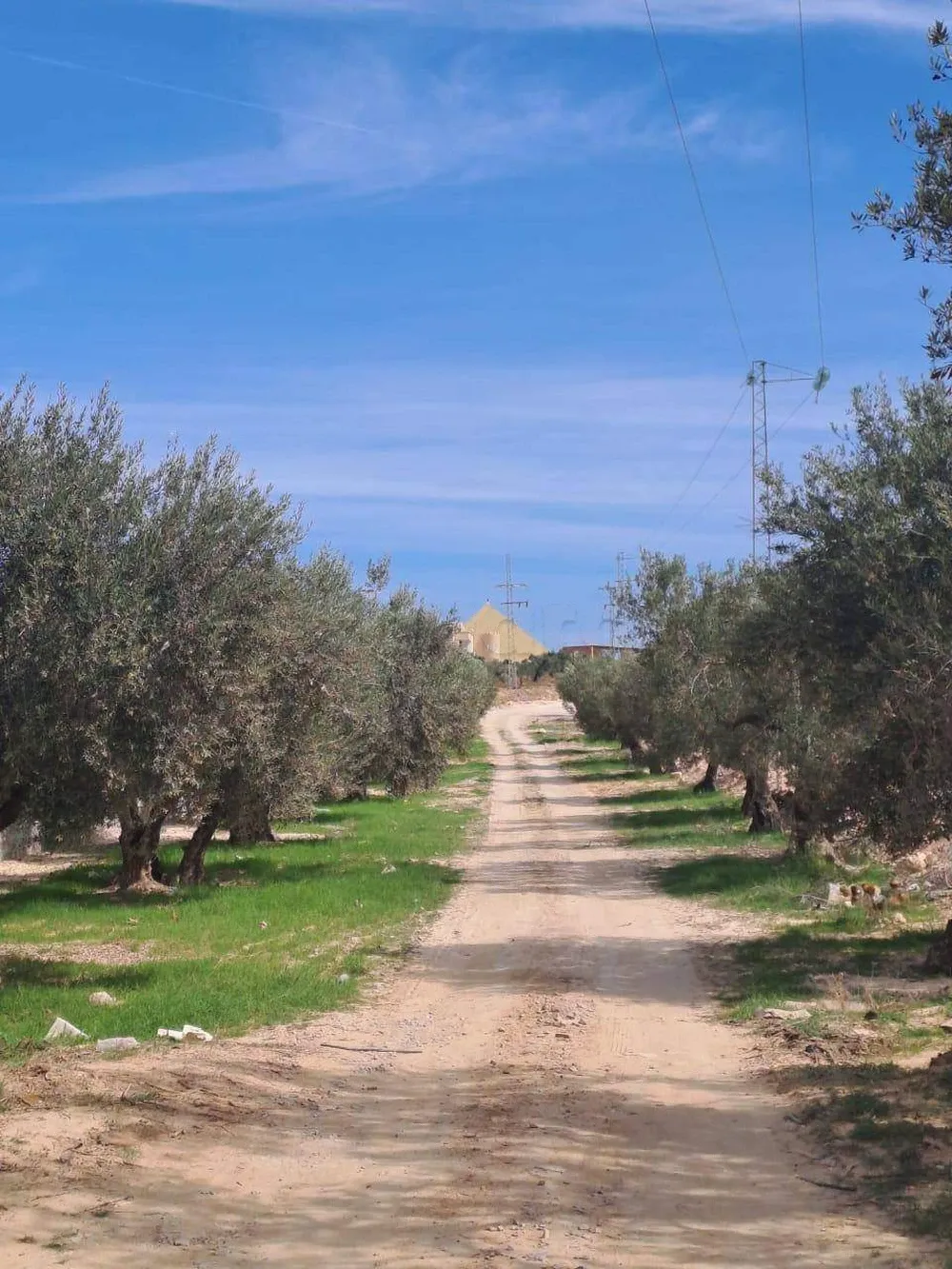 Terrain Prés Mall Off Sousse