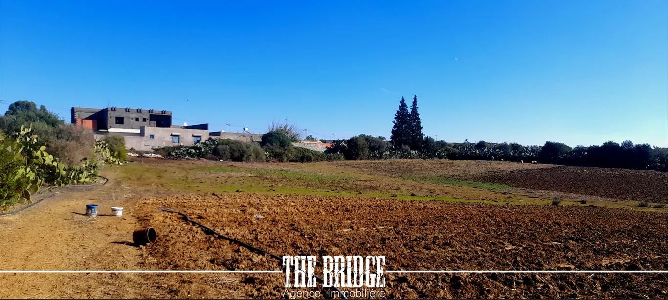 Terrain Agricole de 13 977 m² nu à Bou Argoub