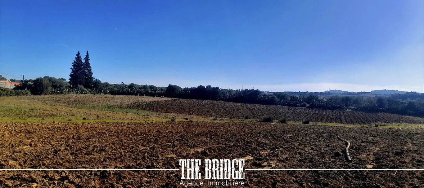 Terrain Agricole de 13 977 m² nu à Bou Argoub