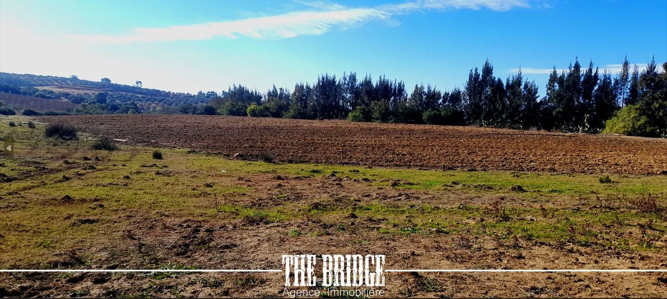 Terrain Agricole de 13 977 m² nu à Bou Argoub