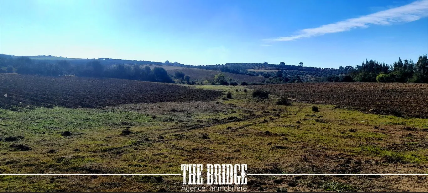 Terrain Agricole de 13 977 m² nu à Bou Argoub