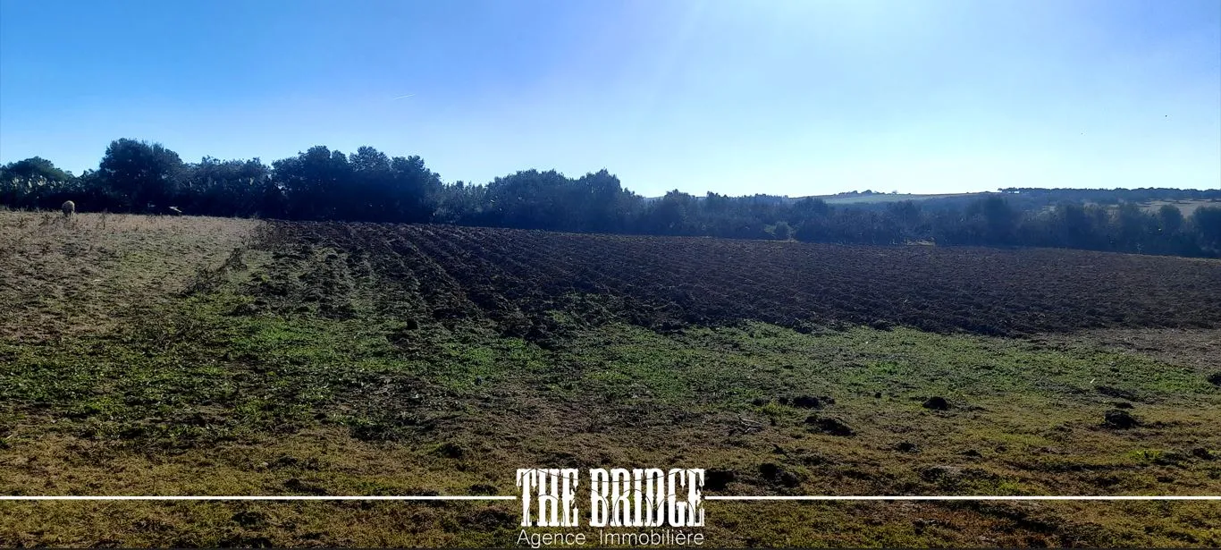 Terrain Agricole de 13 977 m² nu à Bou Argoub
