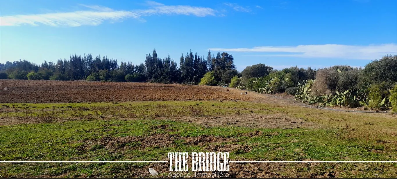 Terrain Agricole de 13 977 m² nu à Bou Argoub