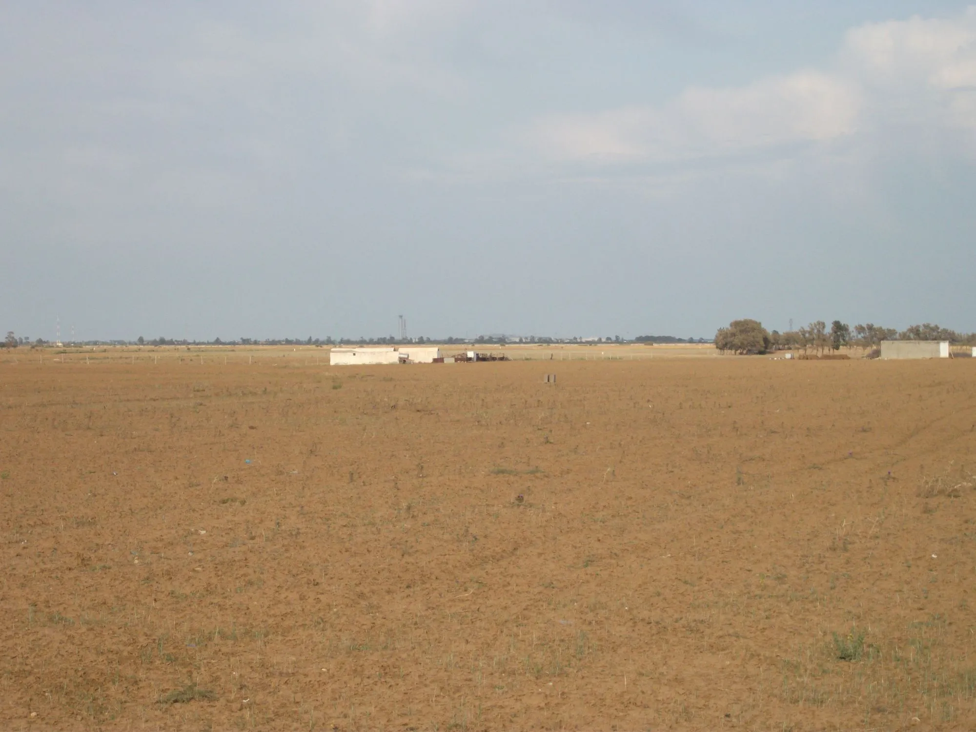 đżTerrain Agricole De 4 Hectares En Vente | Enfidha, Ain El Garci