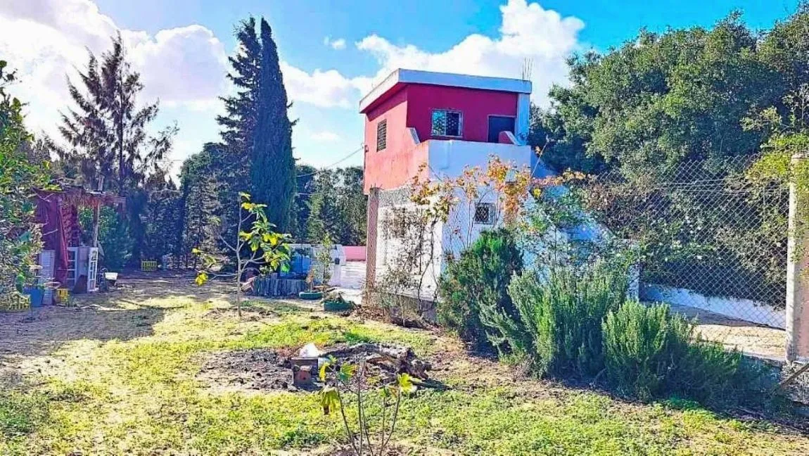 🌳 Terrain 3700 m2 a sounine rafraf 🏡