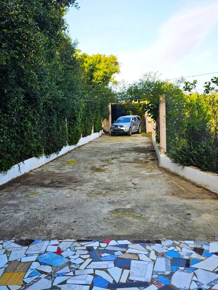 🌳 Terrain 3700 m2 a sounine rafraf 🏡