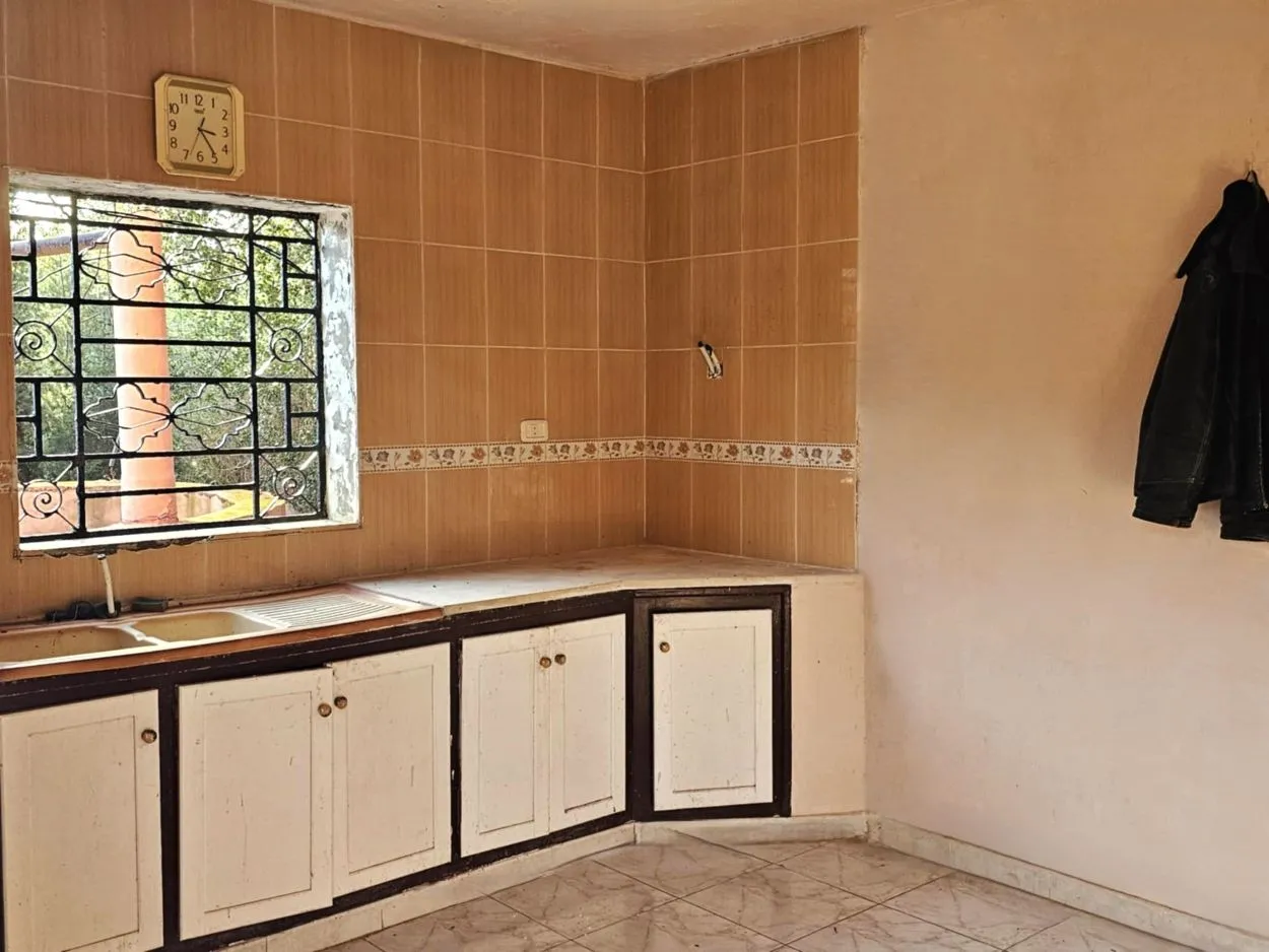 🌳 Terrain 3700 m2 a sounine rafraf 🏡