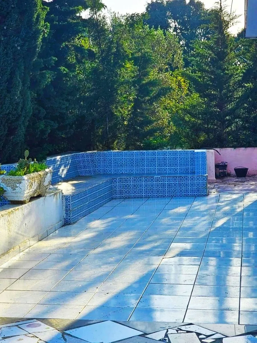 🌳 Terrain 3700 m2 a sounine rafraf 🏡