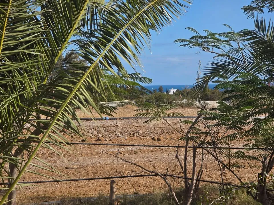 đTerrain Avec Vue Mer En Vente | Gandouz Hergla