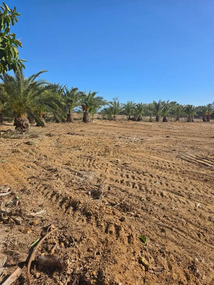 đTerrain Avec Vue Mer En Vente | Gandouz Hergla