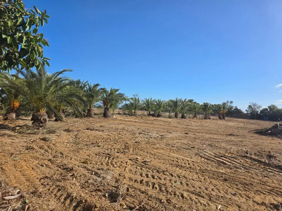 đTerrain Avec Vue Mer En Vente | Gandouz Hergla